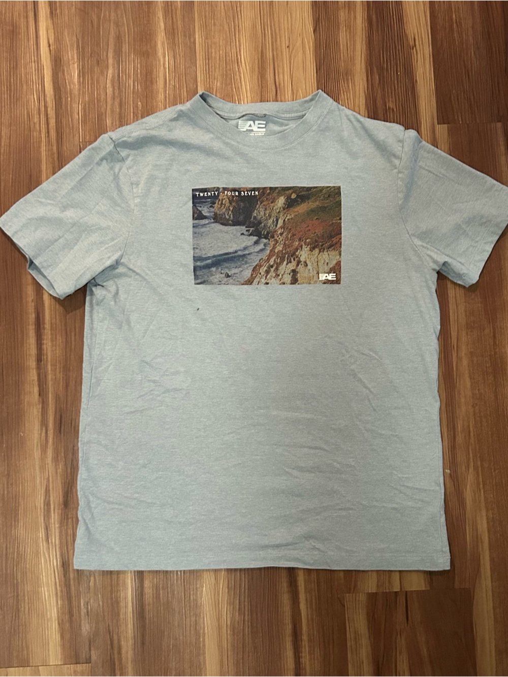 American Eagle Outfitters Light Blue Graphic Crewneck Tee
